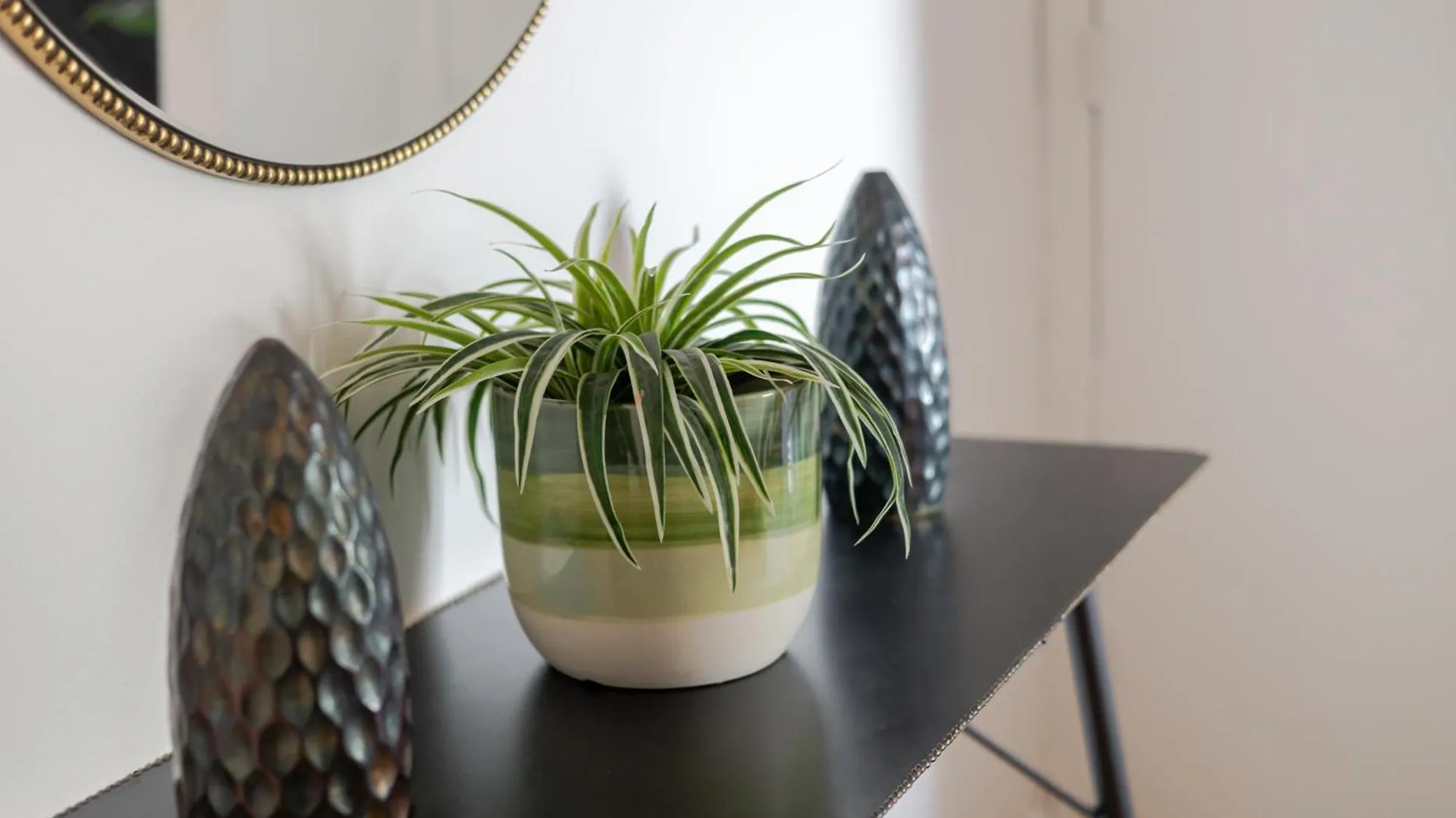 Bright 2Br In Plateau Mont Royal Downtown Zb5 Apartment Montreal Canada